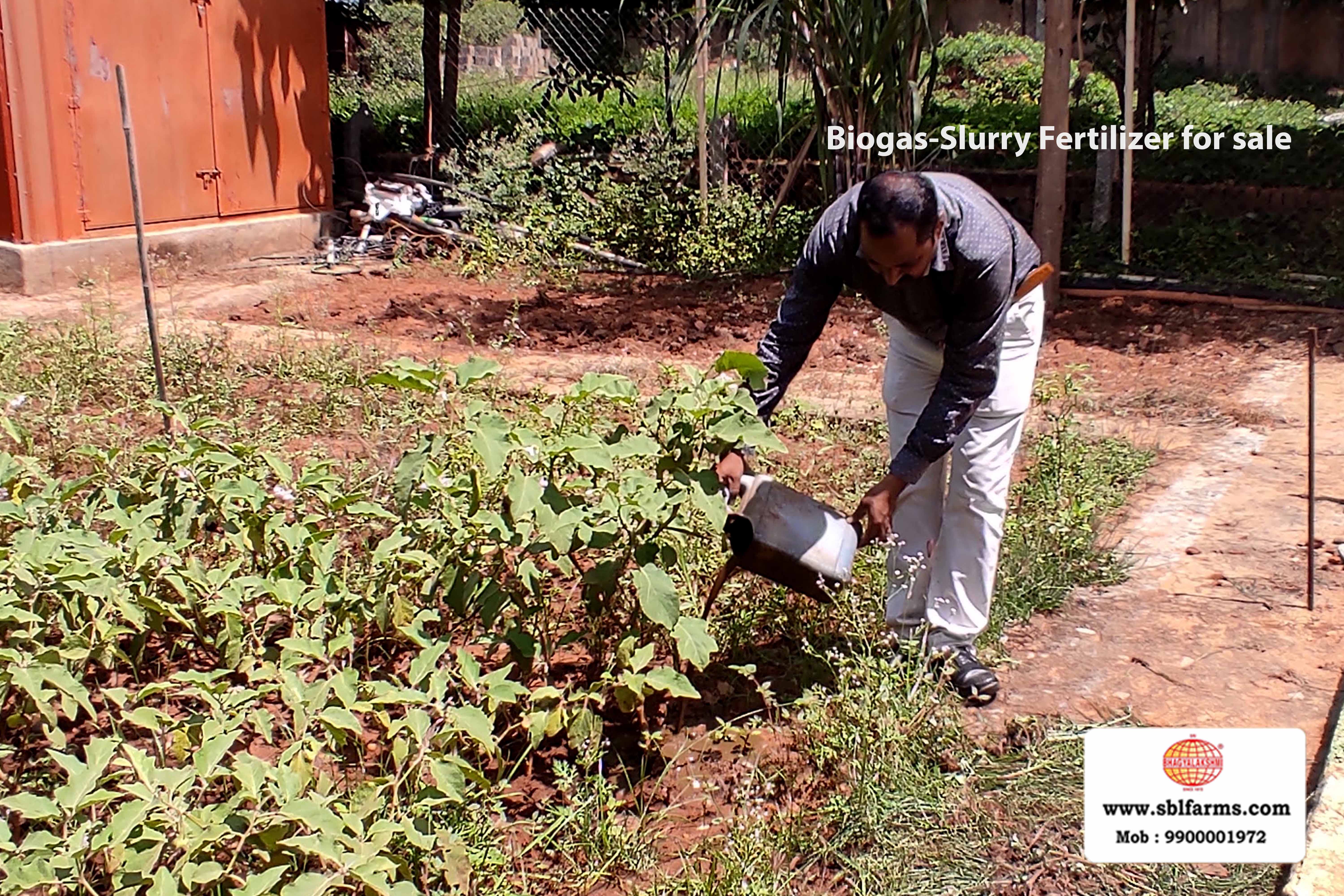 Sri Bhagyalakshmi Farms Bangalore - biogas-slurry fertilizer | Slurry Fertilizer for Sale  |  Fertilizer for vegetable better growth | bioslurry manufacturers, suppliers & exporters in Bangalore|Bio slurry for sale in bangalore |  Sri Bhagyalakshmi Farms fertilizer slurry Bangalore | Bioslurry a supreme fertiliser | slurry fertilizer near me bangalore | slurry fertilizer near me bangalore contact number | manure fertilizer for sale in bangalore | Organic Manure for sale | biogas slurry uses | biogas slurry composition | organic fertilizer price per kg | biogas slurry meaning | organic fertilizer price in india | organic fertilizer price per ton | Sri Bhagyalakshmi Farms, Cow Dung Manure Organic Fertilizer Suppliers in Bangalore